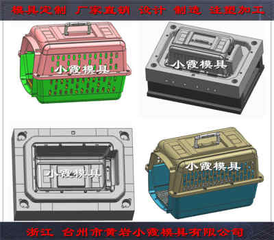 臺州注塑模具 空運(yùn)箱塑料模具