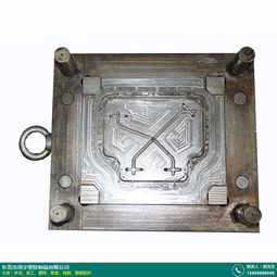 常州快速塑膠模具來圖定制公司服務如何 得宇塑膠